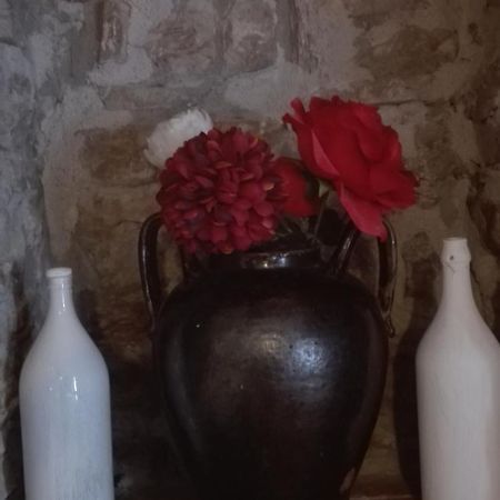 Agriturismo La Vecchia Cascina Di Paolo & Belinda Villa Pietrelcina Buitenkant foto