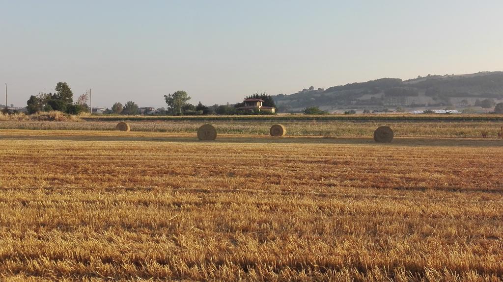 Agriturismo La Vecchia Cascina Di Paolo & Belinda Villa Pietrelcina Buitenkant foto